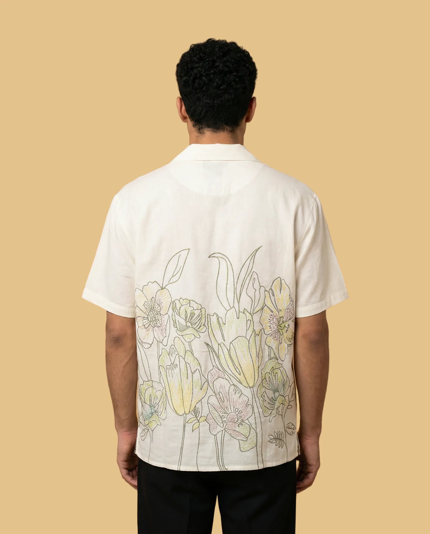 Solaro Shirt for Men
